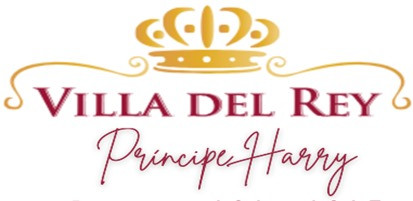 Cliente HARRY - Empresa que confía en los servicios de Deaplic y Cablaz Data Consulting